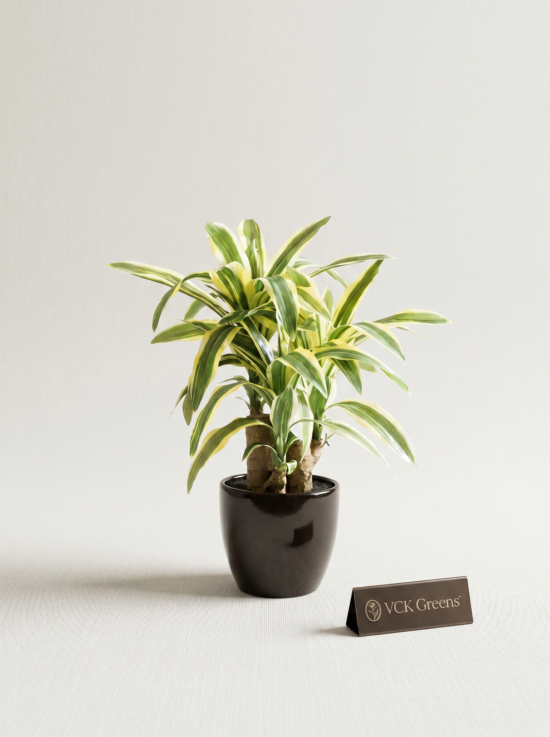 Artificial Dracaena Plant Bonsai 1.2ft