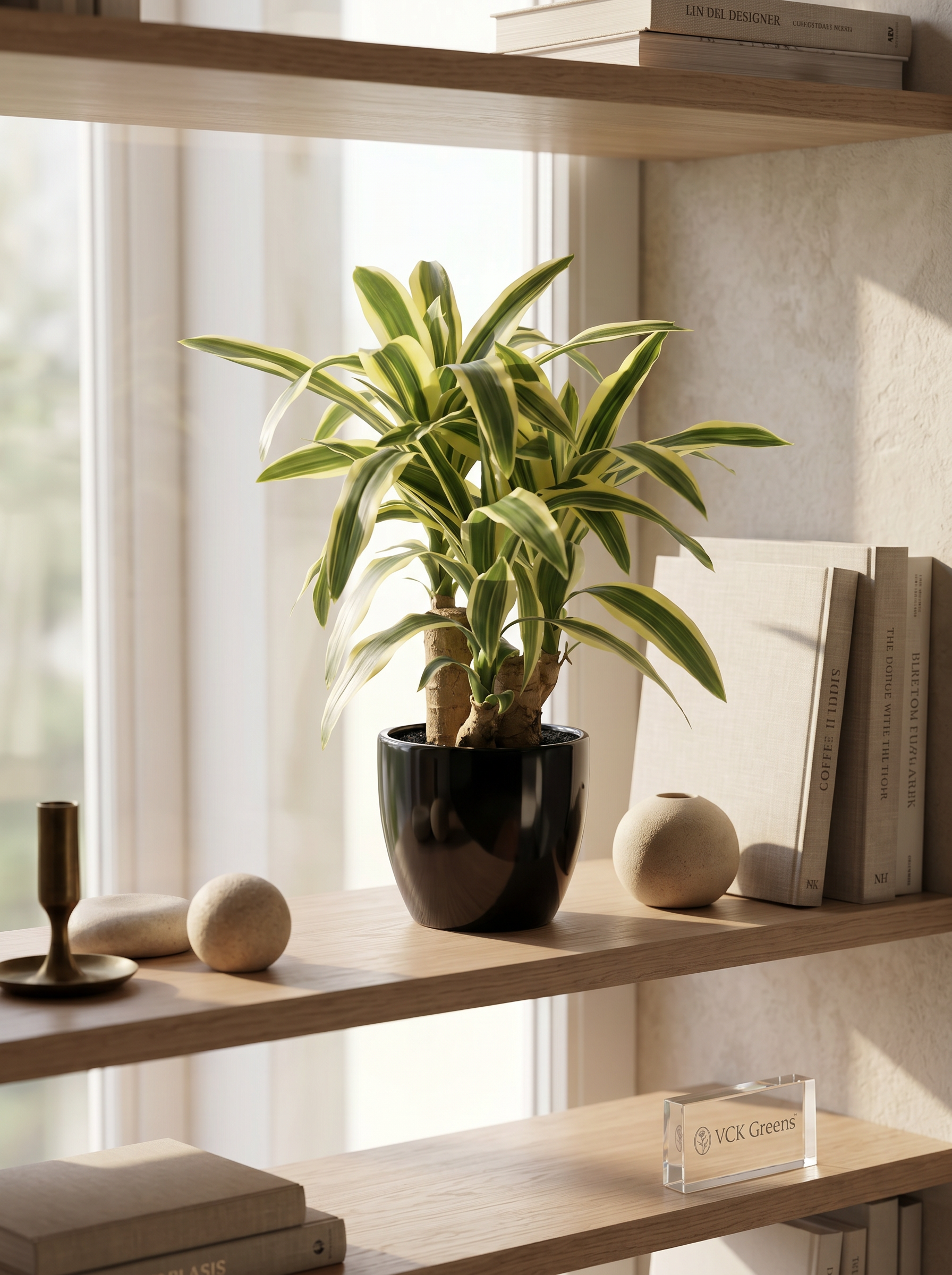 Artificial Dracaena Plant Bonsai 1.2ft