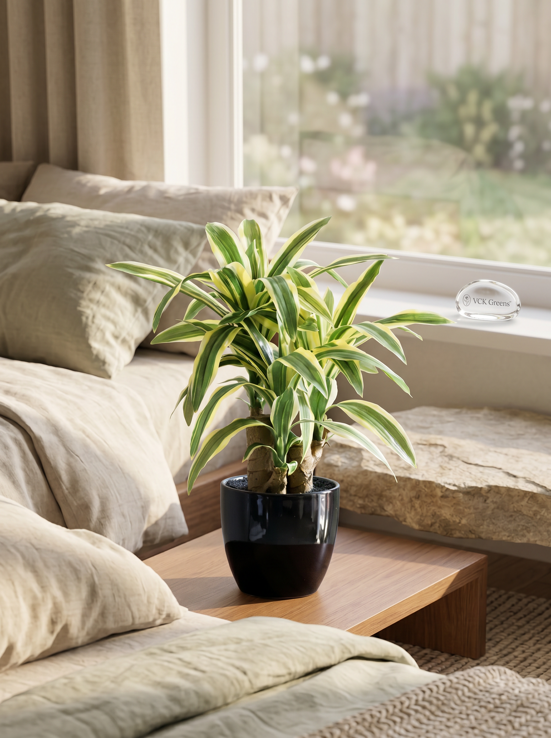 Artificial Dracaena Plant Bonsai 1.2ft