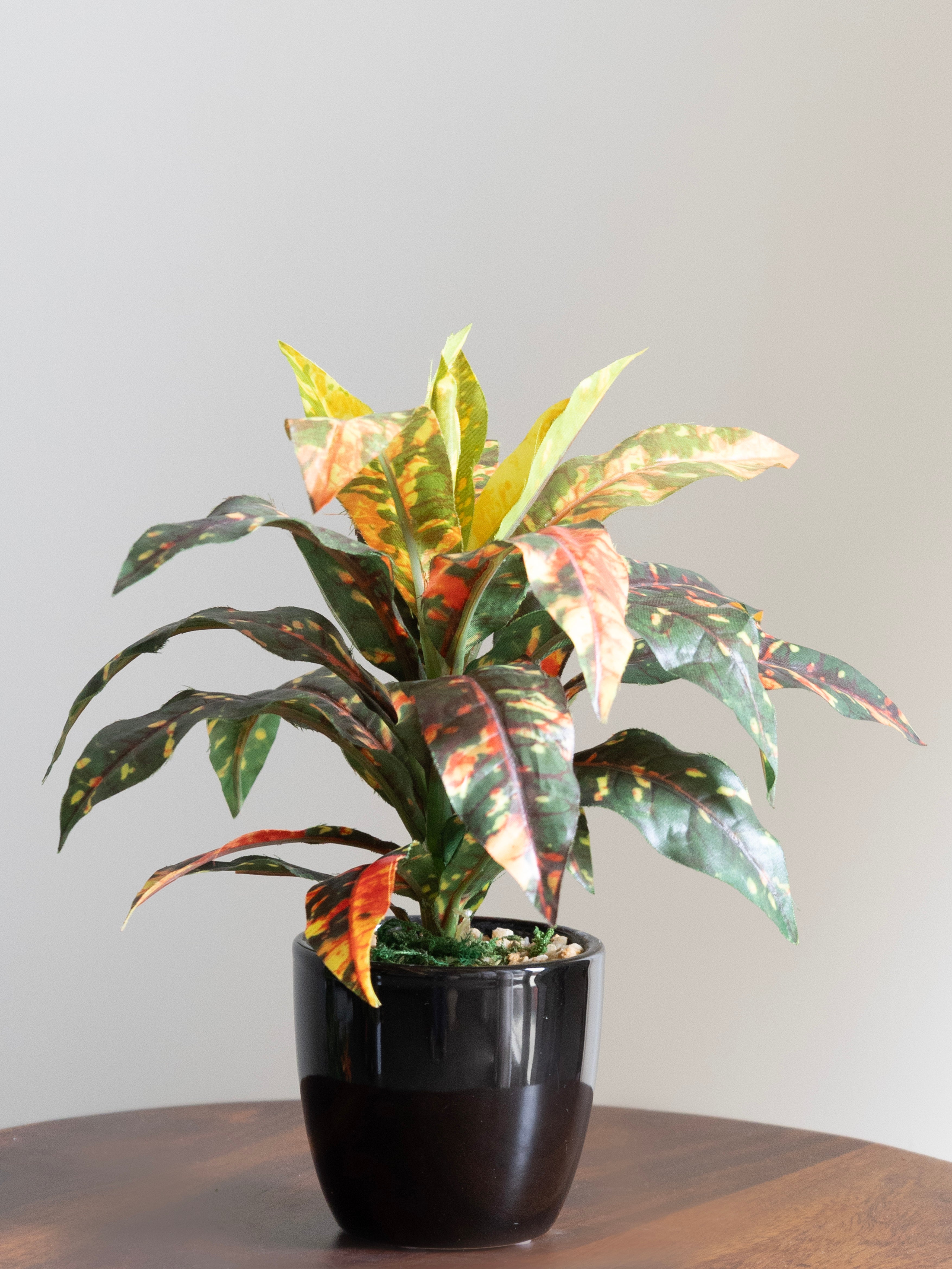 Artificial Croton Leaf Bonsai 24cm