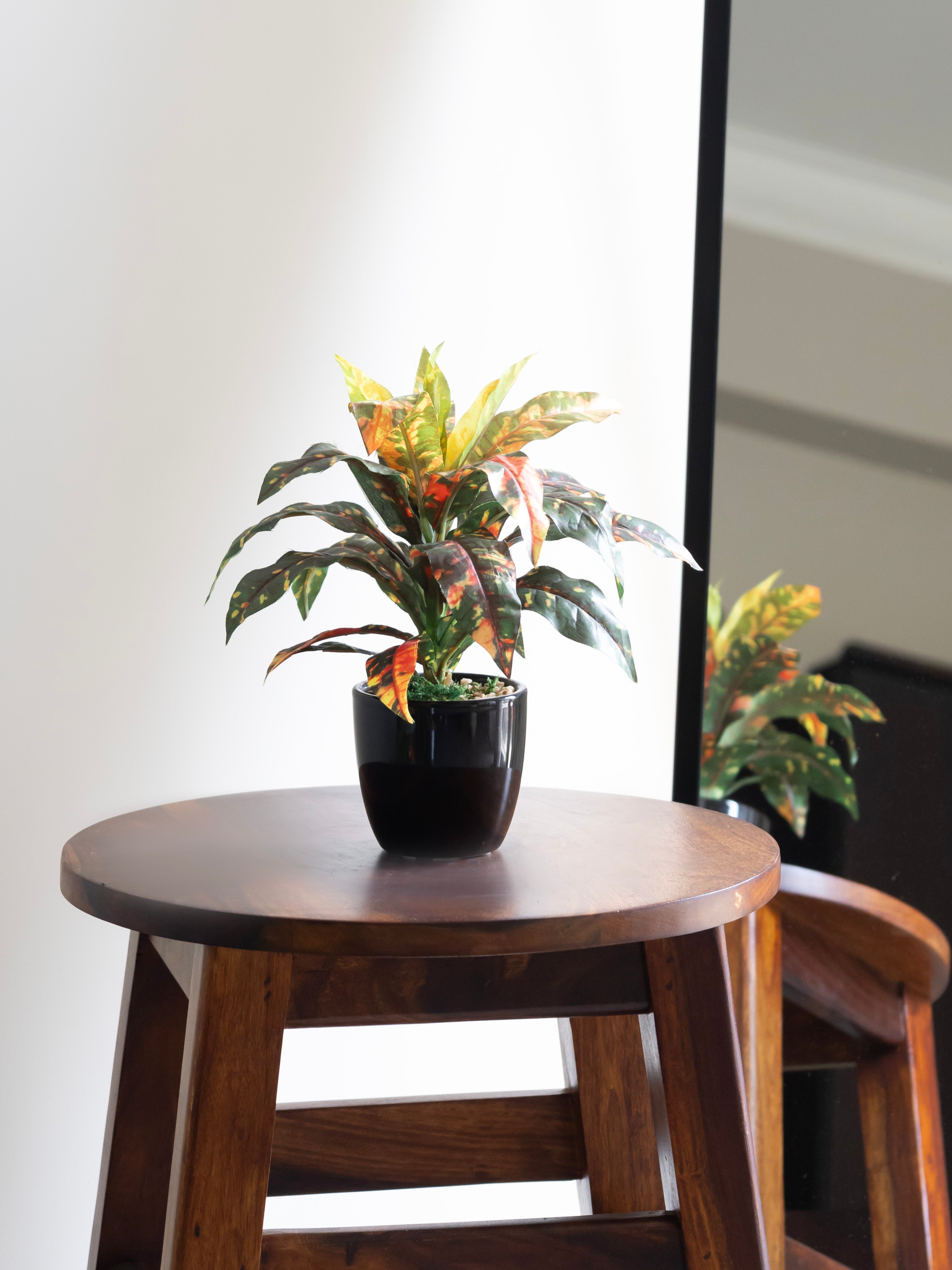 Artificial Croton Leaf Bonsai 24cm