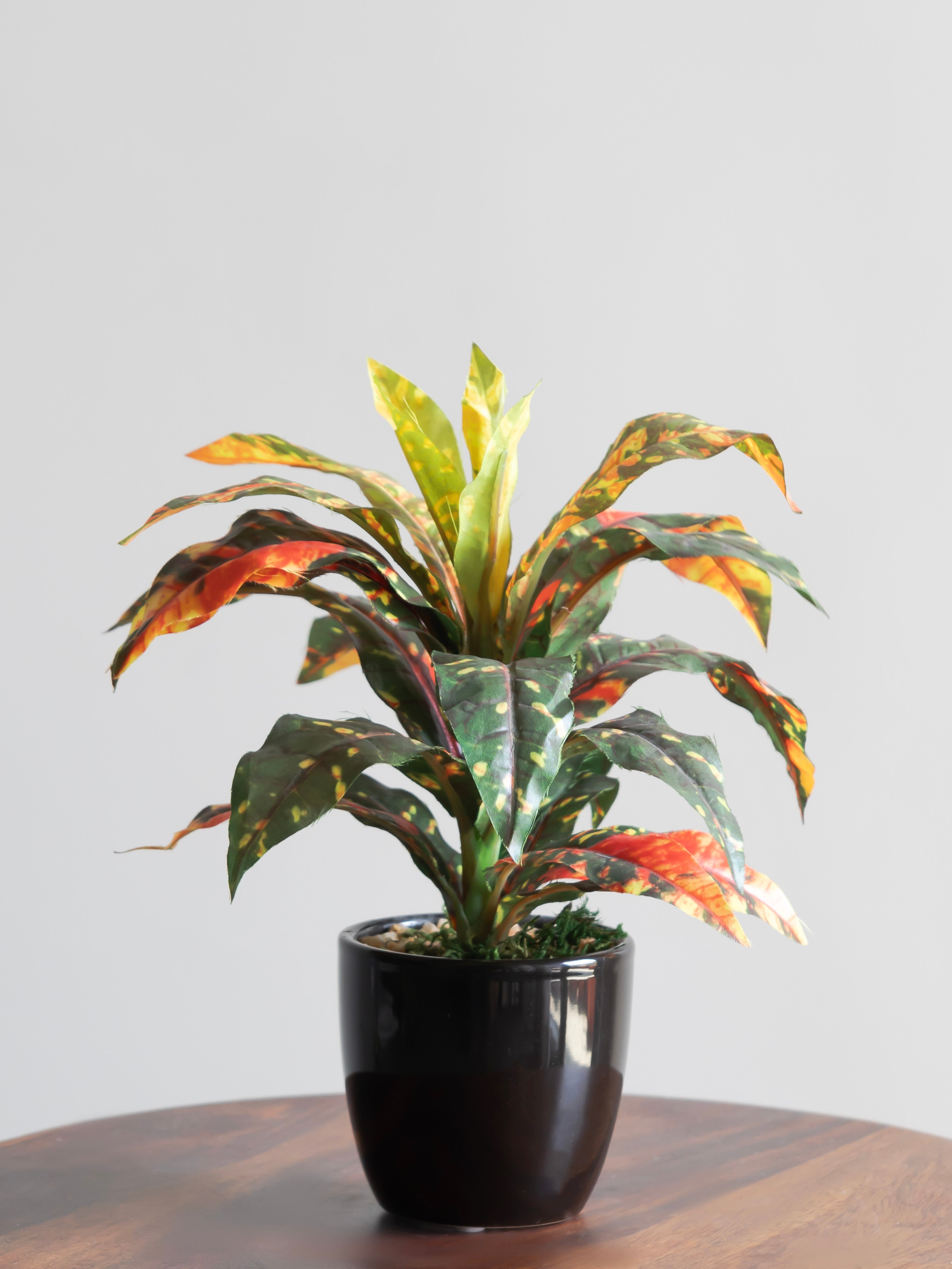 Artificial Croton Leaf Bonsai 24cm