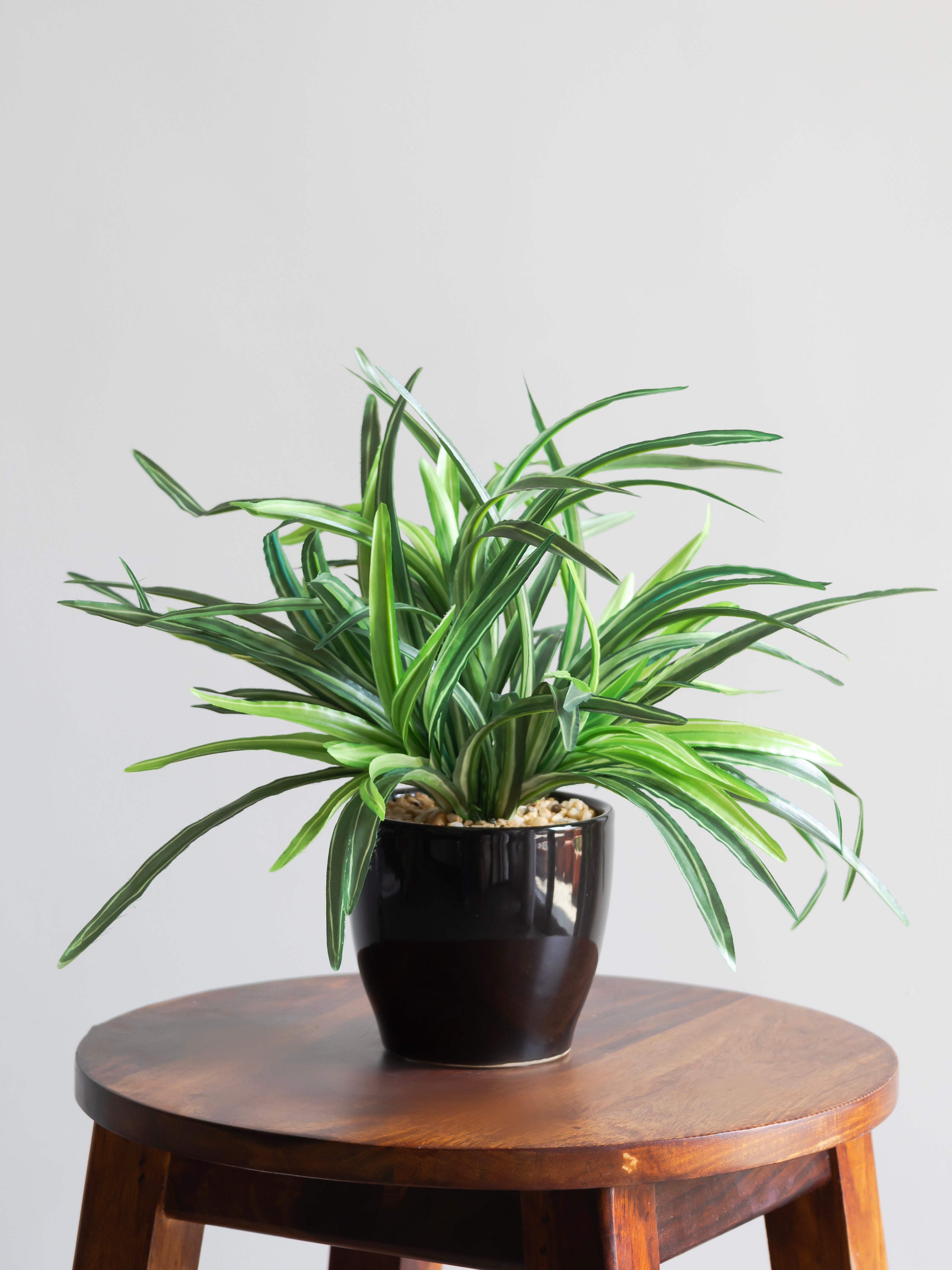 Artificial Green Spider Leaves Bonsai 27cm