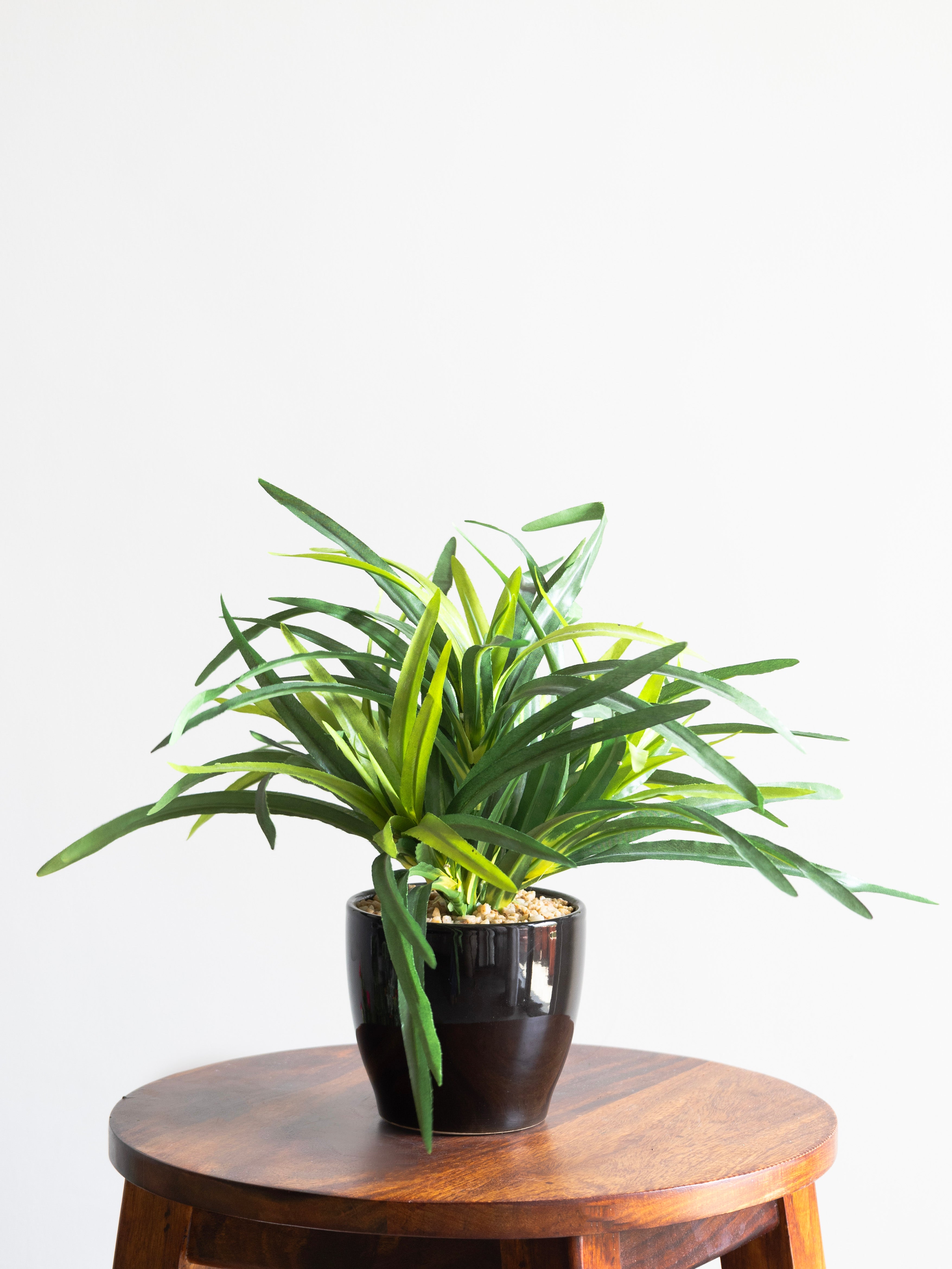 Artificial Green Spider Leaves Bonsai 27cm