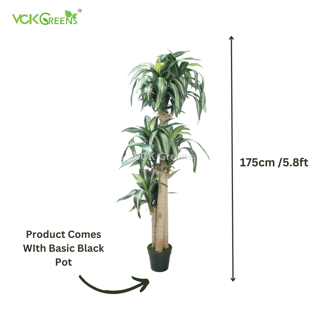 Artificial Dracaena Plants 5.8ft With Pot