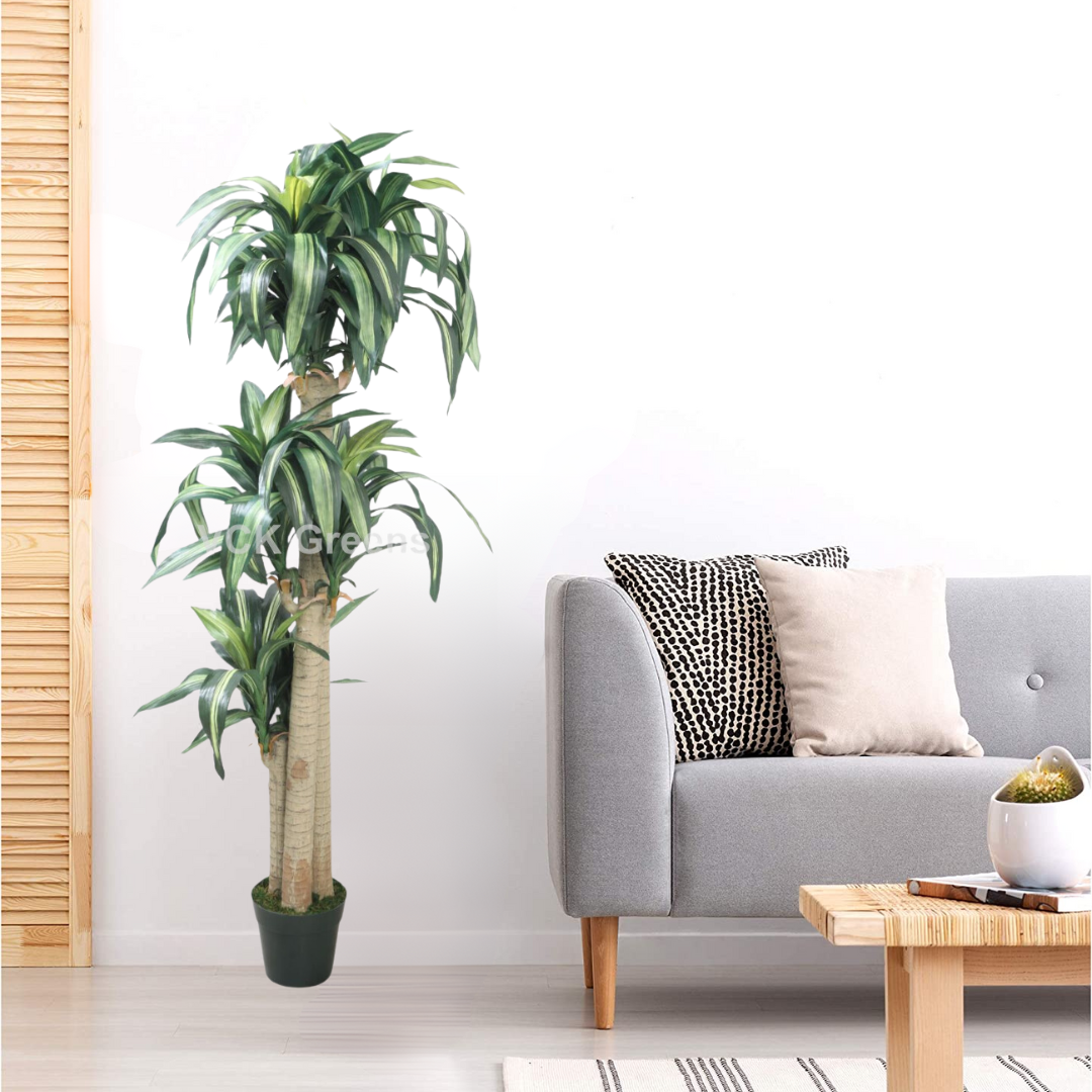 Artificial Dracaena Plants 5.8ft With Pot