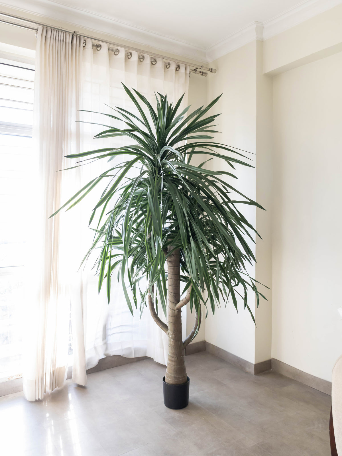 Artificial Draco Wild Crown Plant 7.2ft
