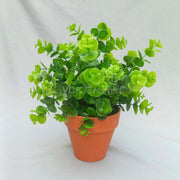 Artificial Eucalyptus Leaves With Plastic Pot 1.3ft