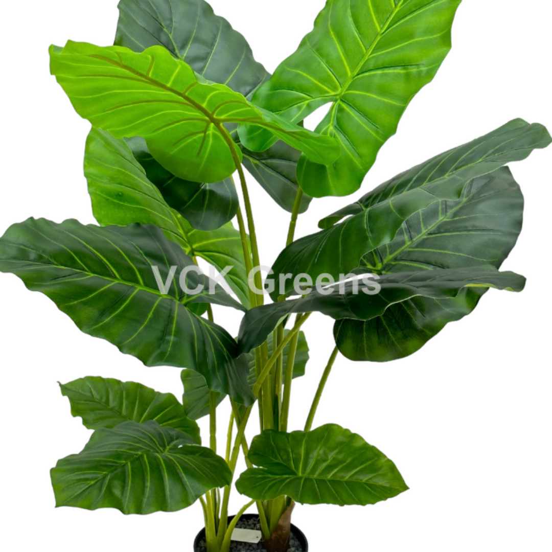 Artificial Evergreen Leaf Plant 3.5ft With Pot