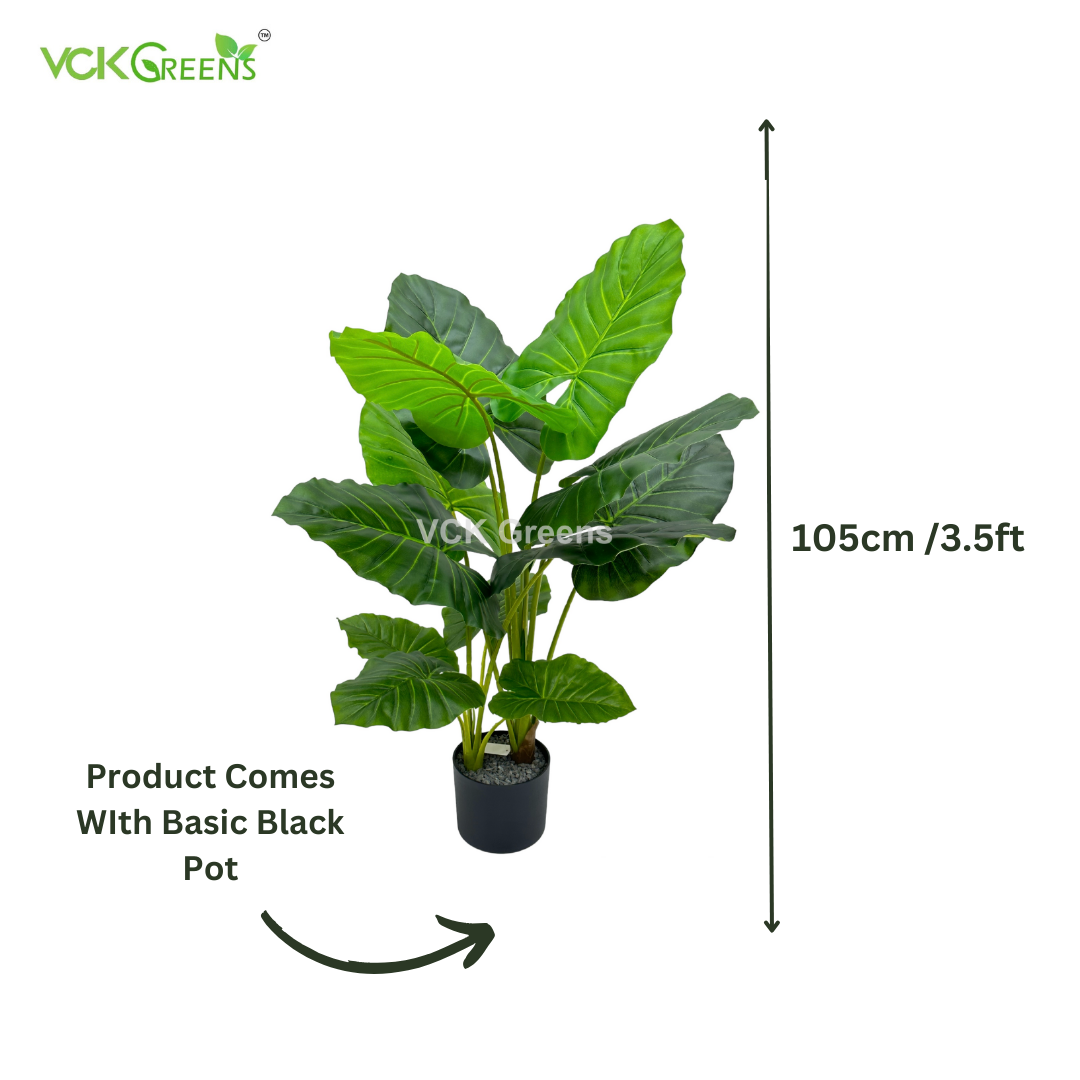 Artificial Evergreen Leaf Plant 3.5ft With Pot