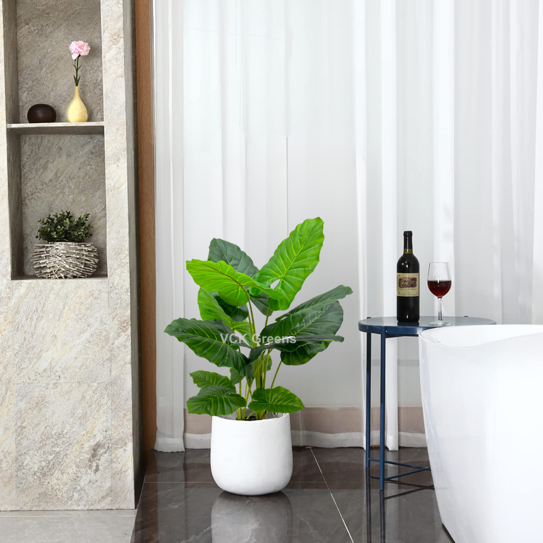 Artificial Evergreen Leaf Plant 3.5ft With Pot