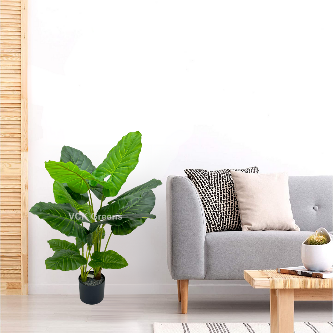 Artificial Evergreen Leaf Plant 3.5ft With Pot