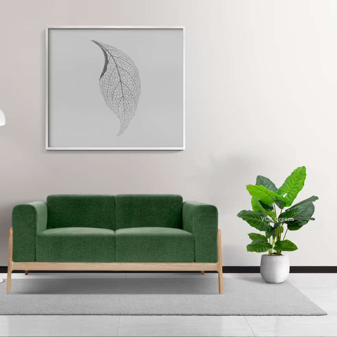 Artificial Evergreen Leaf Plant 3.5ft With Pot