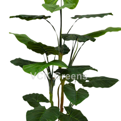 Artificial Evergreen Leaf Plant 6ft With Pot