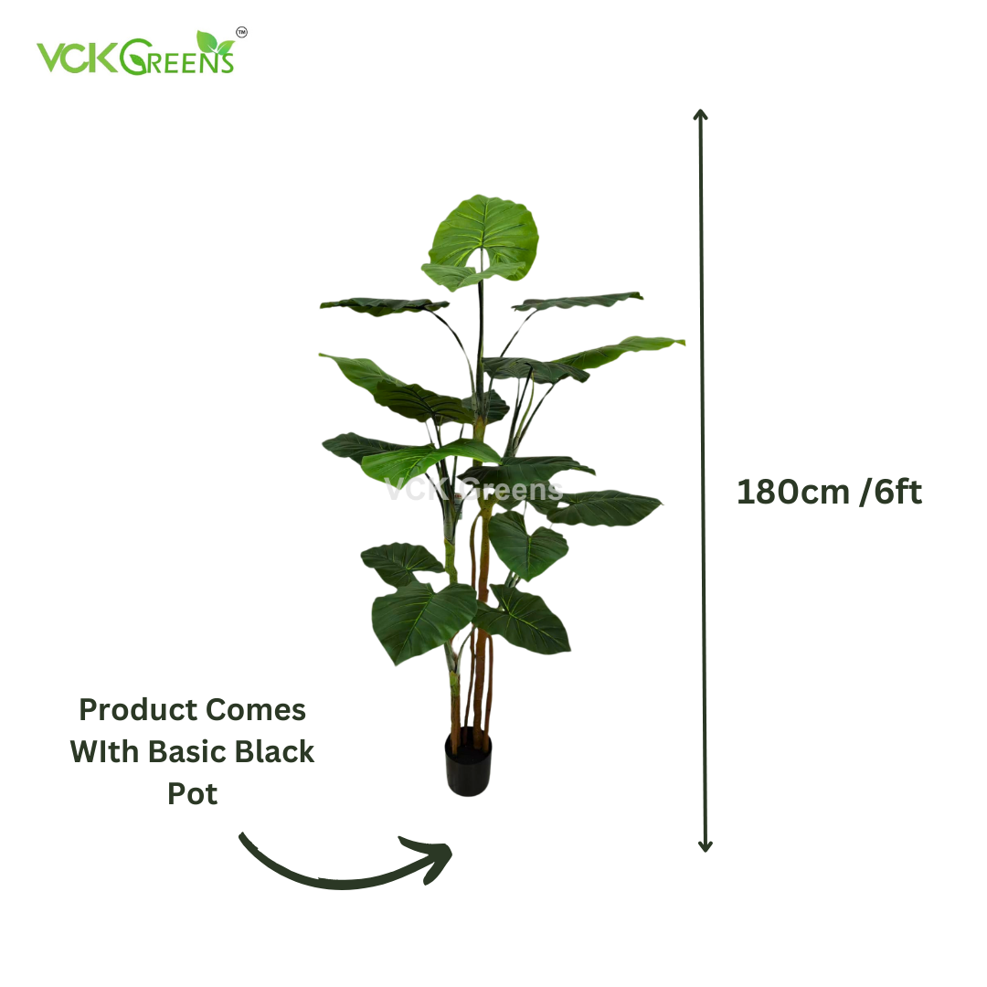 Artificial Evergreen Leaf Plant 6ft With Pot