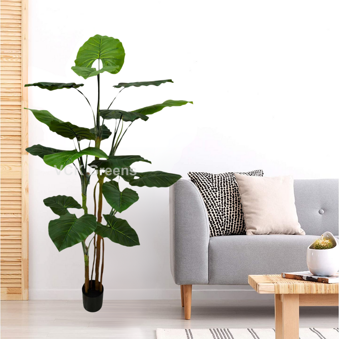 Artificial Evergreen Leaf Plant 6ft With Pot