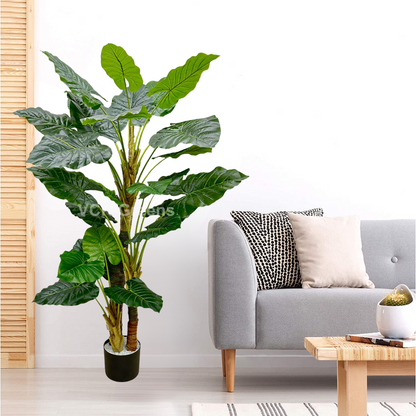 Artificial Evergreen Leaf Plant 6ft With Pot