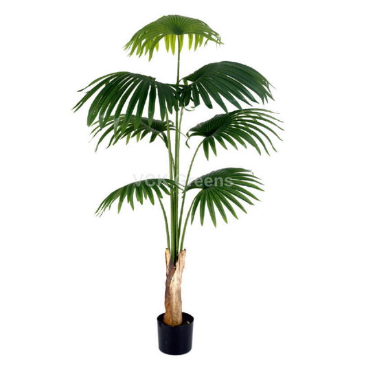 Artificial Fan Palm Trees With Pot
