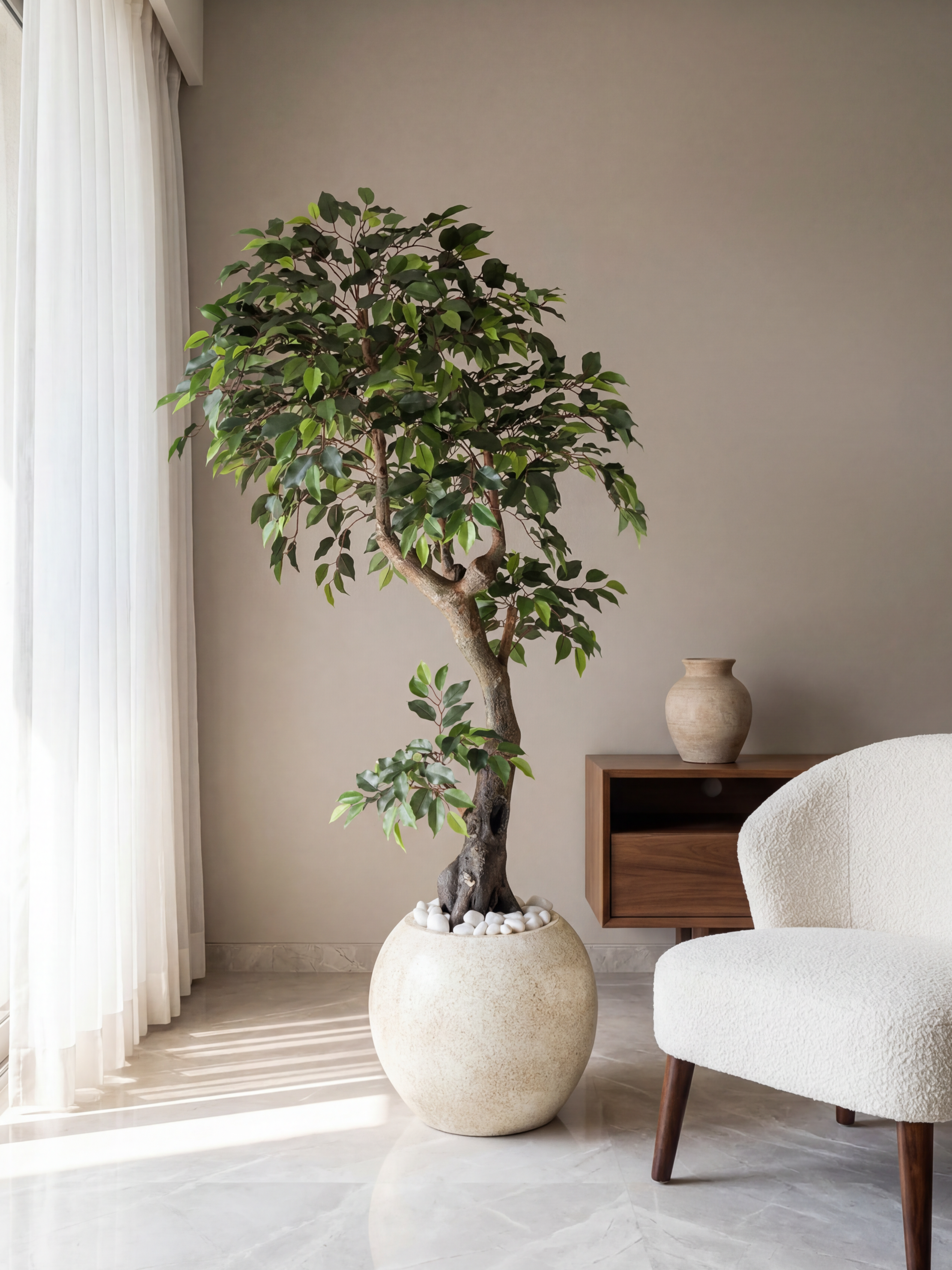 Artificial Ficus Bonsai Tree 6.3ft