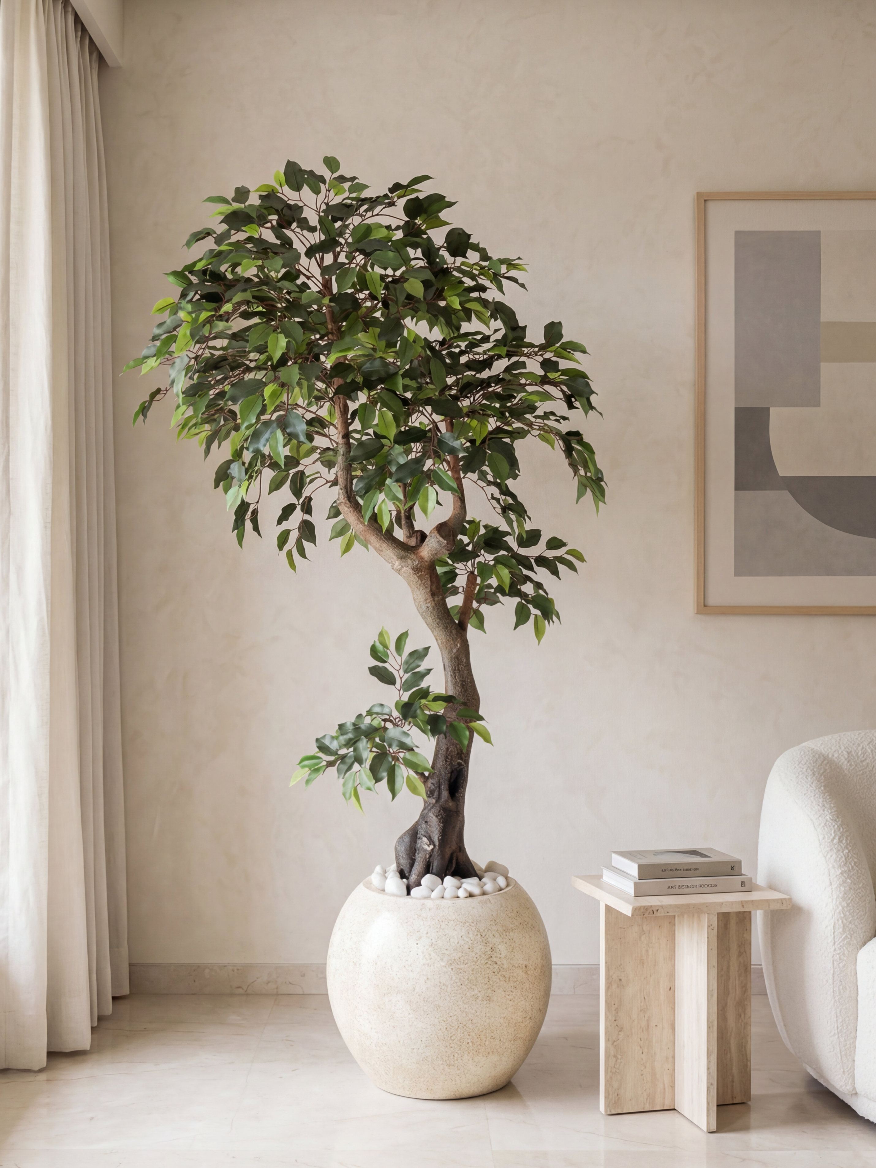 Artificial Ficus Bonsai Tree 6.3ft