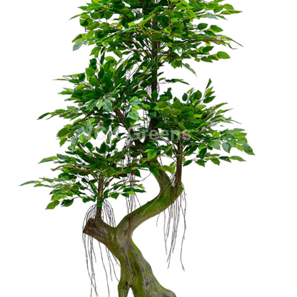 Artificial Ficus Fiber Trunk Tree 5.5ft