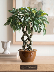 Artificial Green Ficus Leaf Bonsai 1.4ft