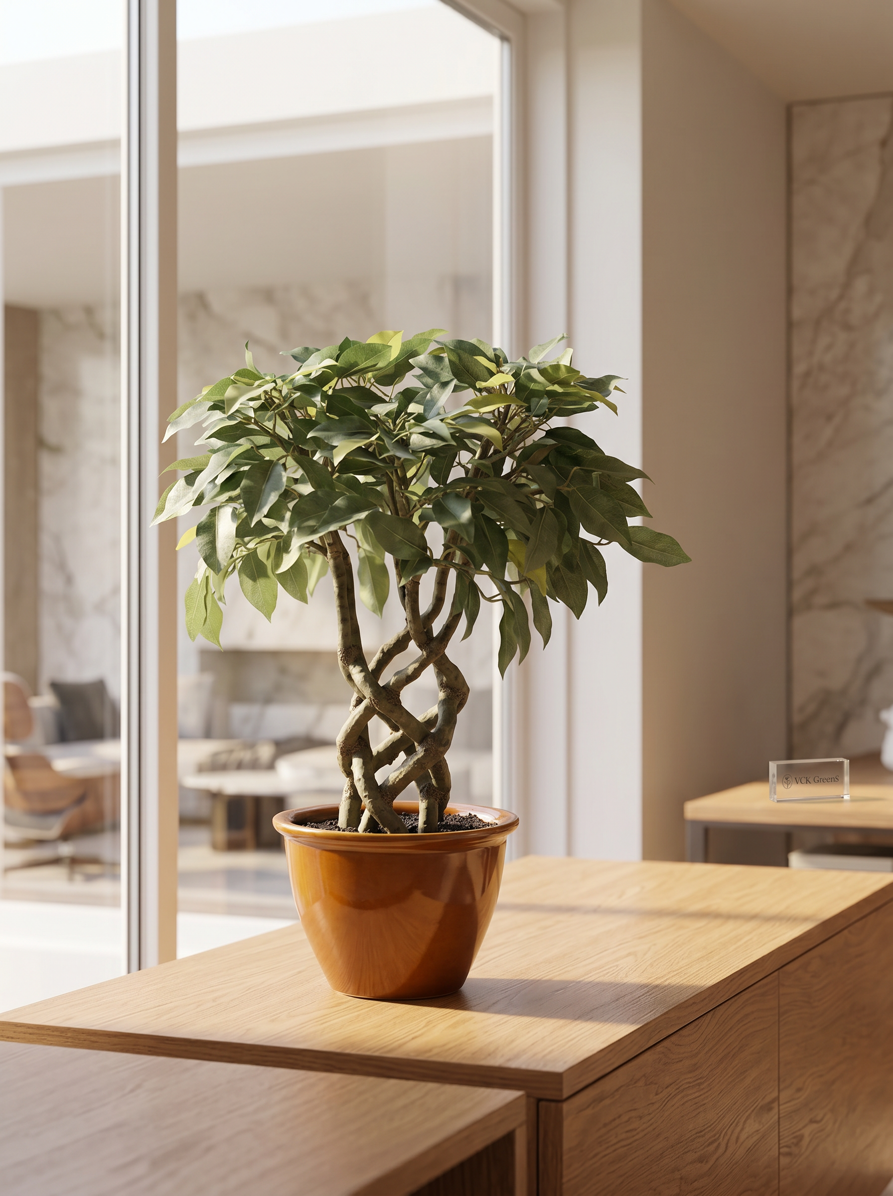 Artificial Green Ficus Leaf Bonsai 1.4ft