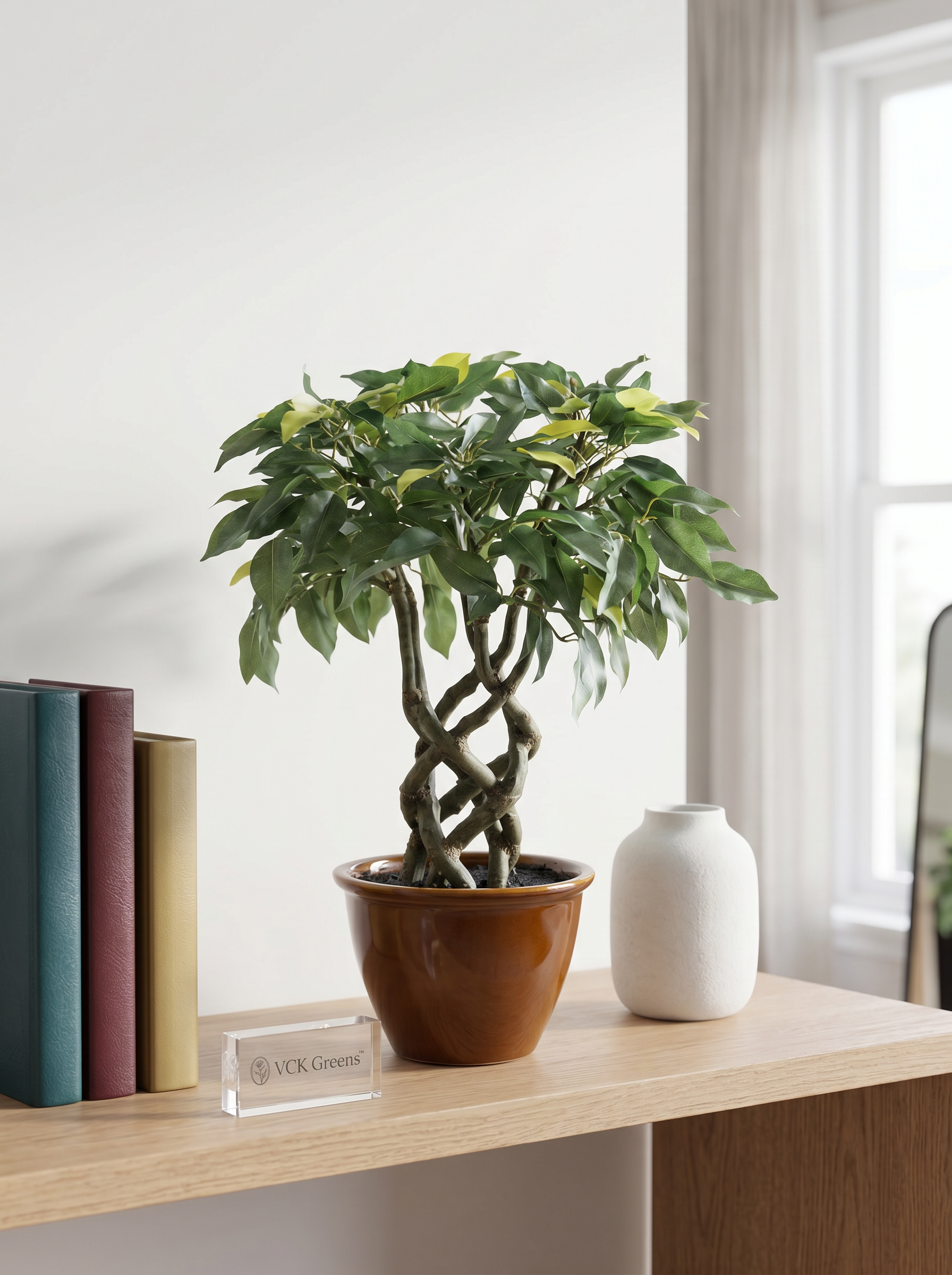Artificial Green Ficus Leaf Bonsai 1.4ft