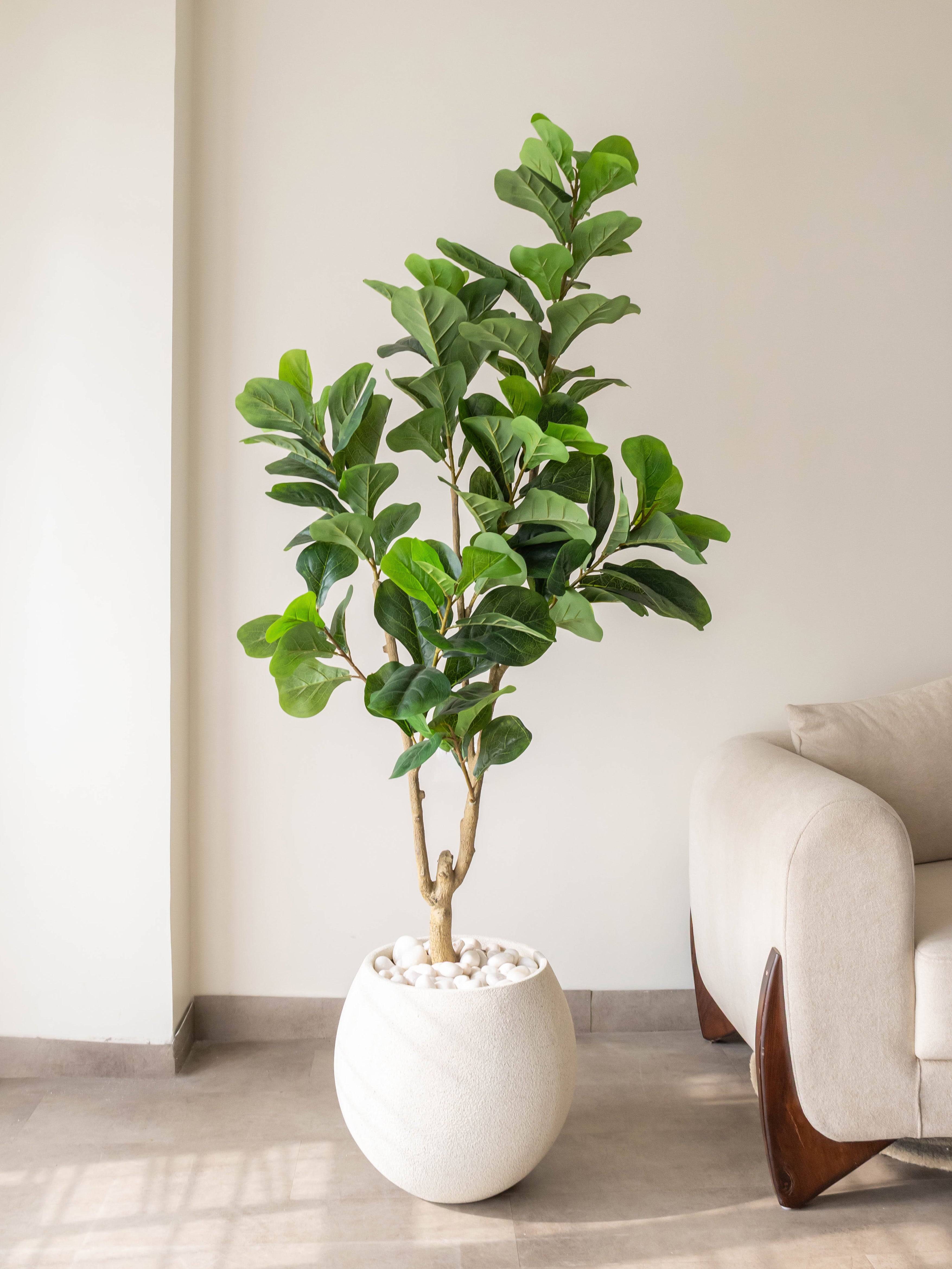 Artificial Fiddle Leaf Fig Plant 5.5ft
