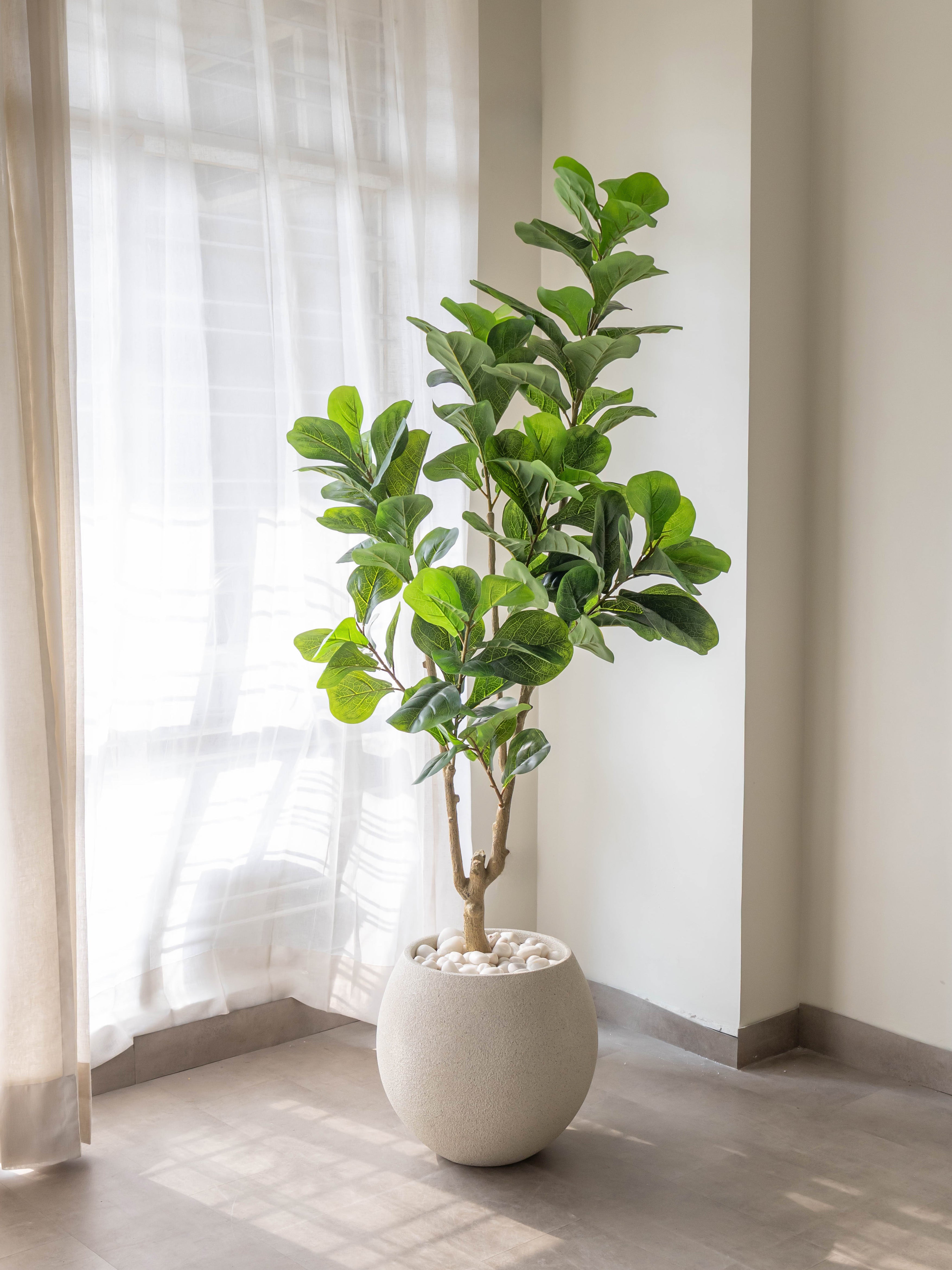 Artificial Fiddle Leaf Fig Plant 5.5ft