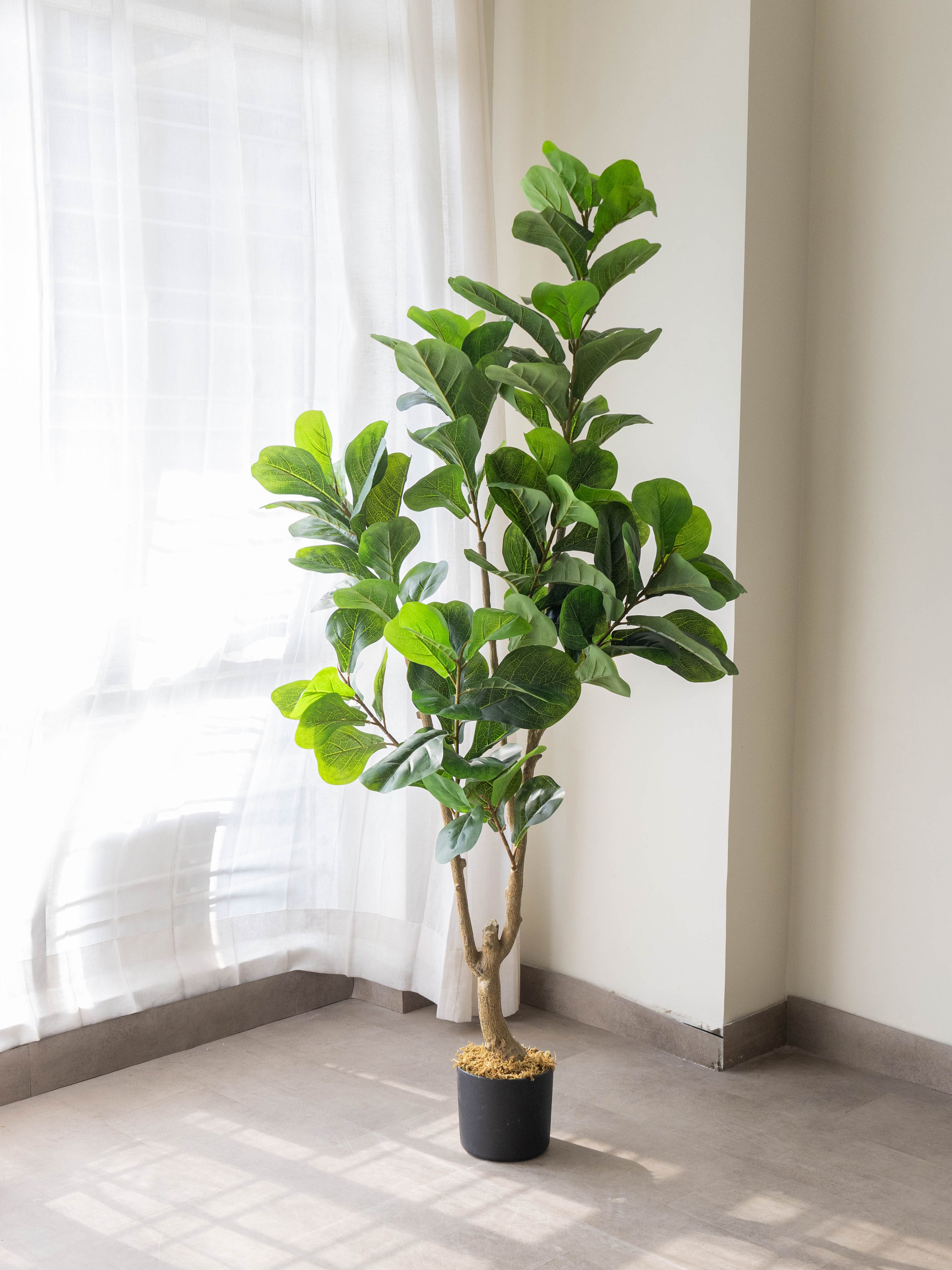 Artificial Fiddle Leaf Fig Plant 5.5ft