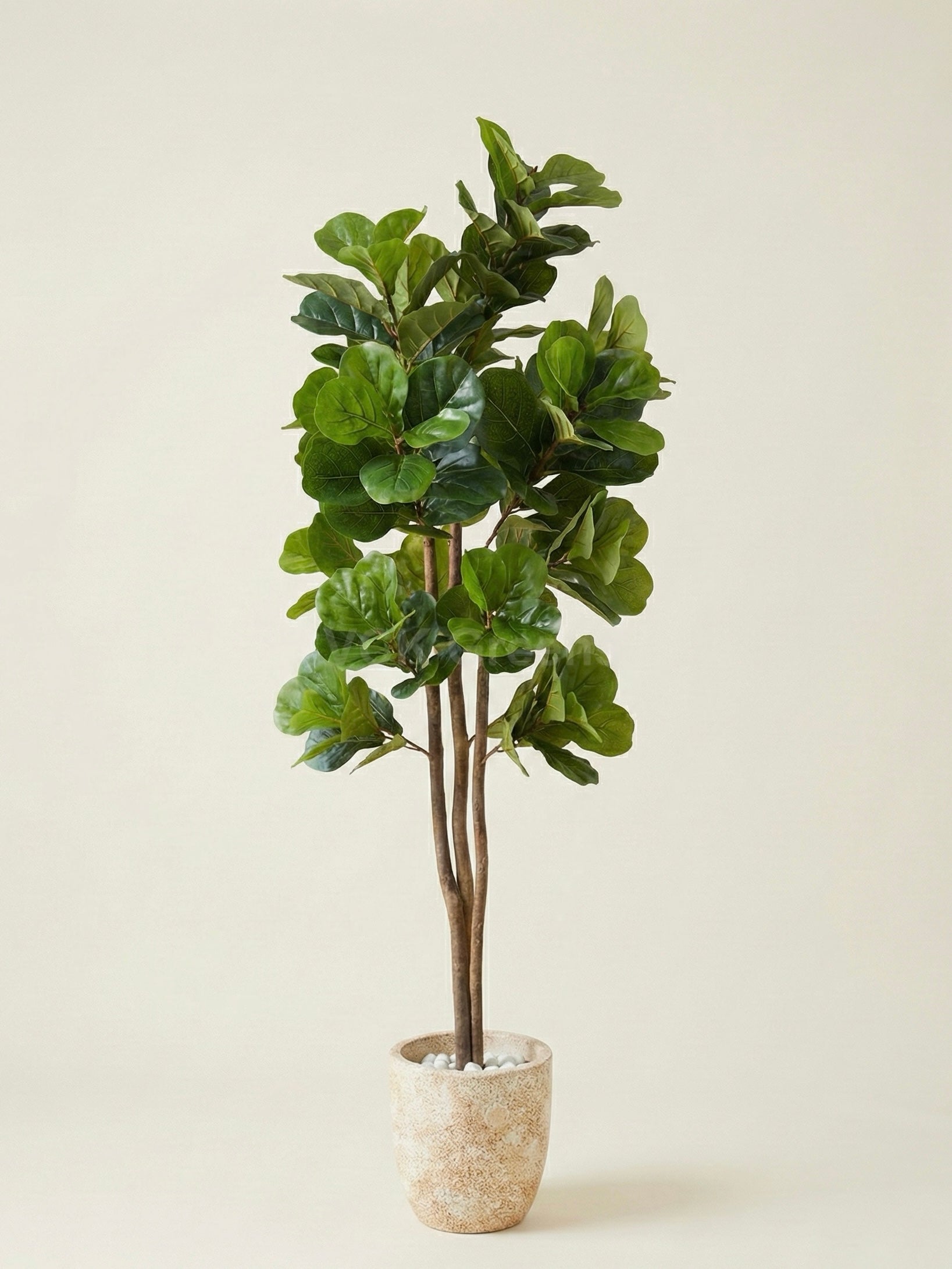 Artificial Fiddle Leaf Tree 6ft