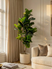 Artificial Fiddle Leaf Fig Plant 5.5ft