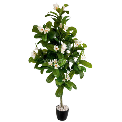 Artificial Frangipani Flower Plant 5.5ft With Pot