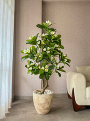 Artificial Frangipani Flower Plant 5ft