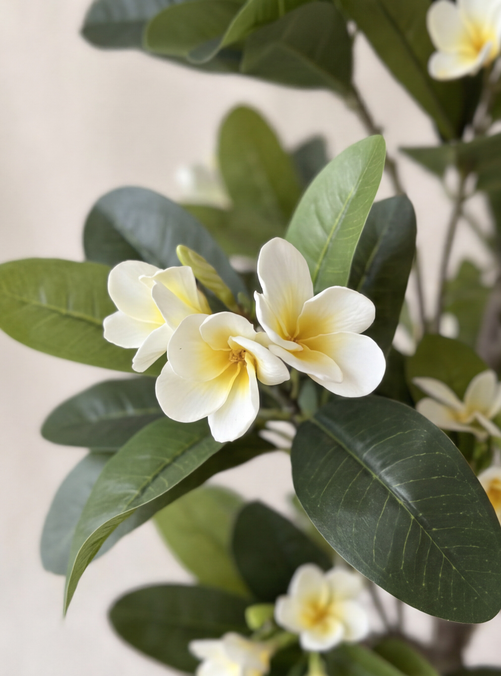 Artificial Frangipani Flower Plant 5ft