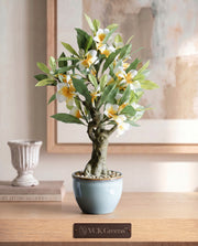 Artificial Frangipani Bonsai Plant 2ft
