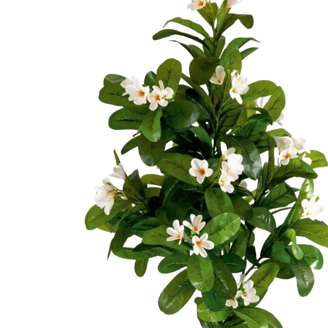 Artificial Frangipani Flower Plant 5.5ft With Pot