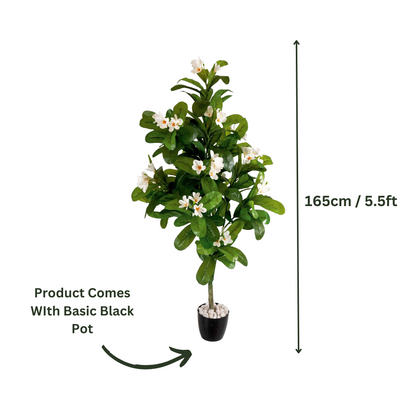 Artificial Frangipani Flower Plant 5.5ft With Pot