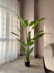 Artificial Bird of Paradise Plant 5.3Ft