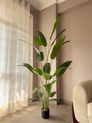 Artificial Bird of Paradise Plant 6Ft