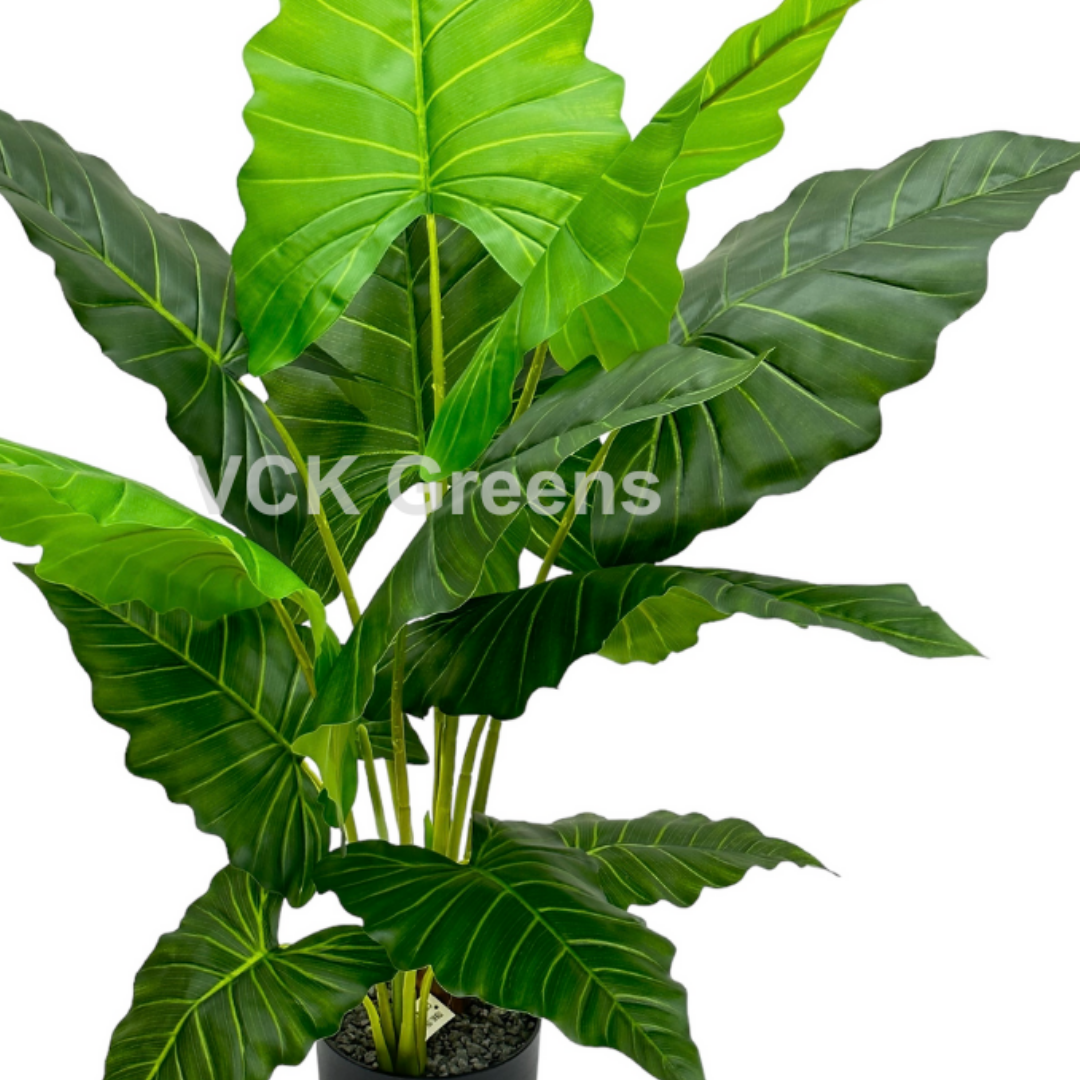 Artificial Green Caladium Leaf Plant 3.5ft With Pot
