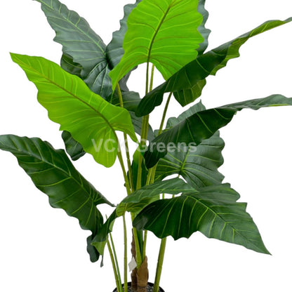 Artificial Green Caladium Leaf Plant 4ft With Pot