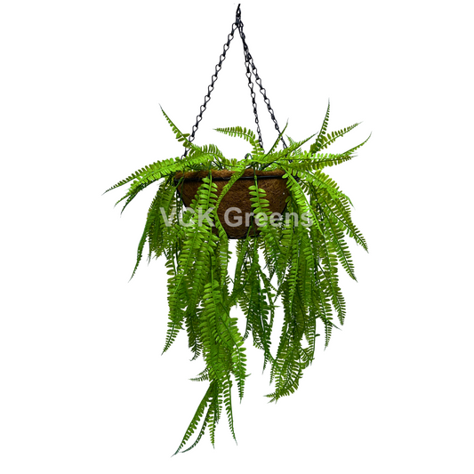 Artificial Fern Leaves Hanging Coco Basket 2.8ft