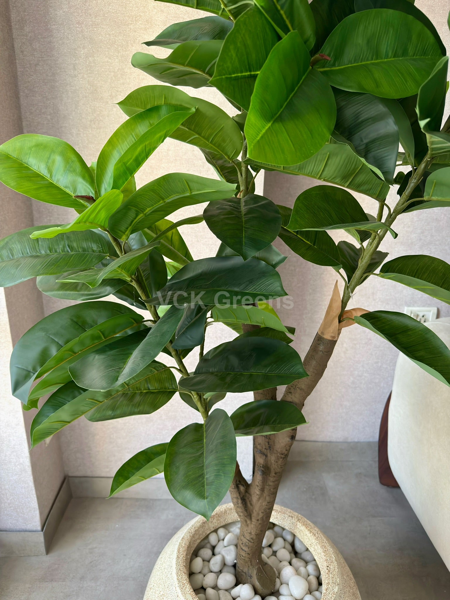 Artificial Green Rubber Plant 5ft