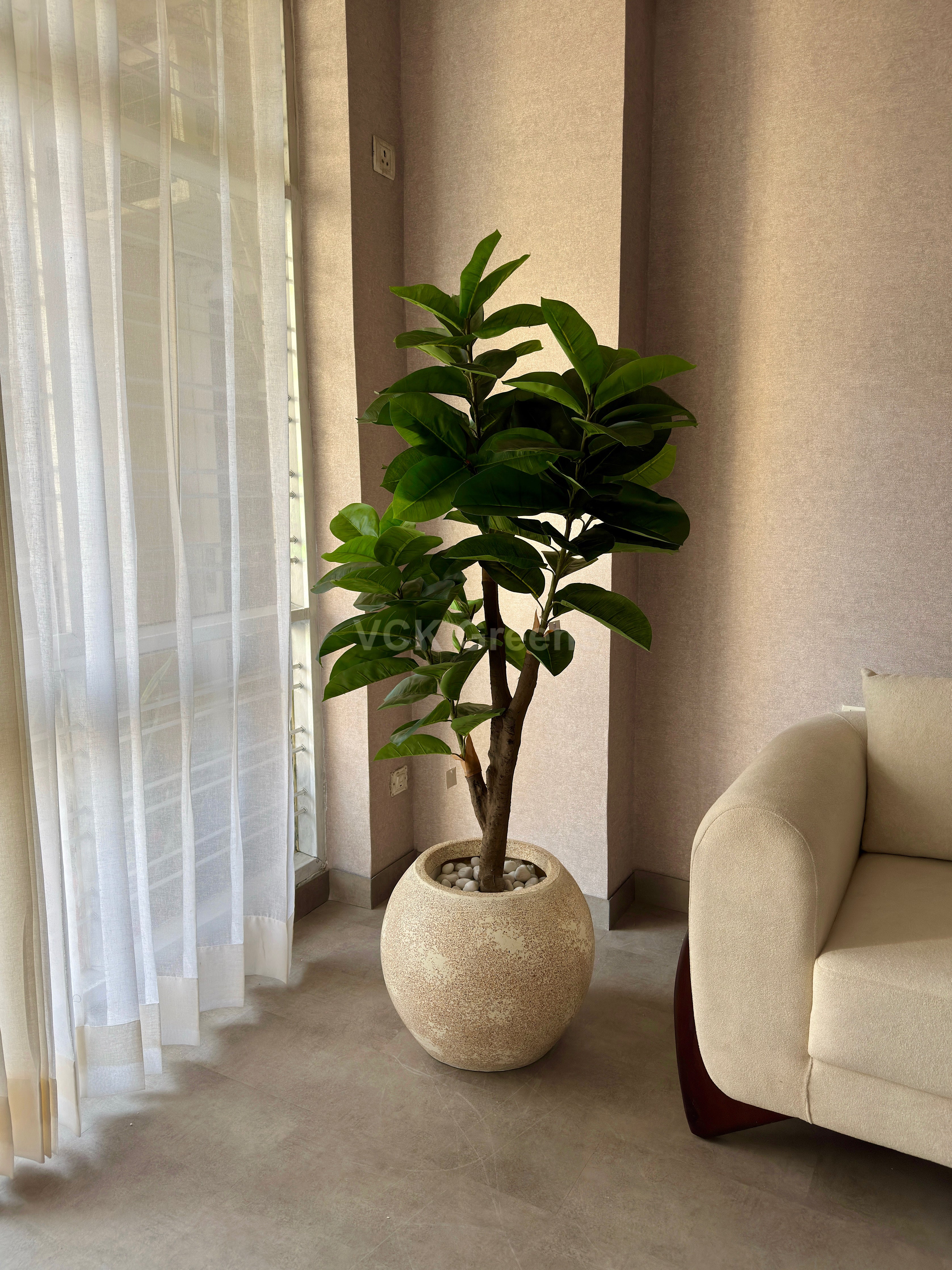 Artificial Green Rubber Plant 5ft