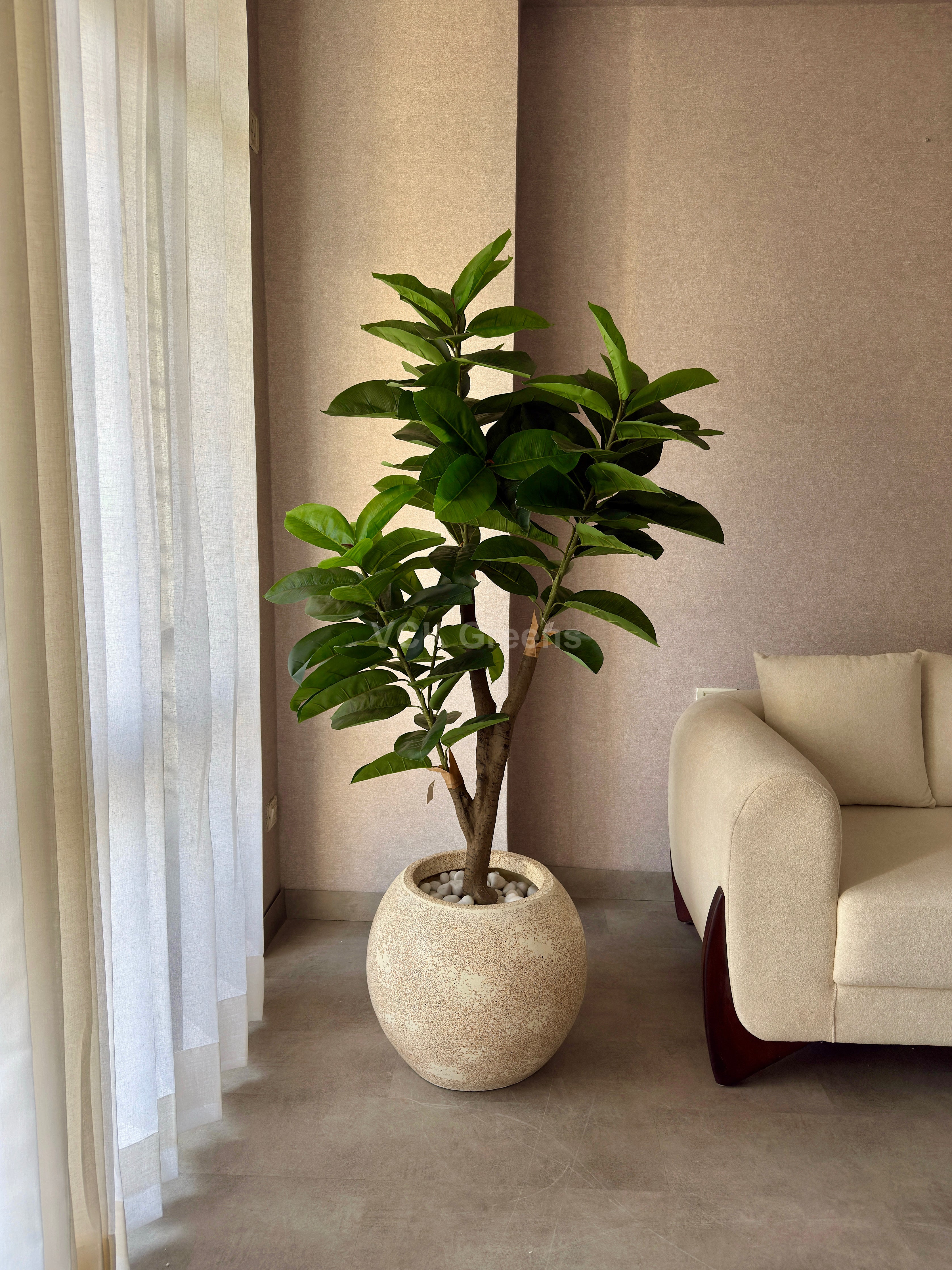 artificial-rubber-plants