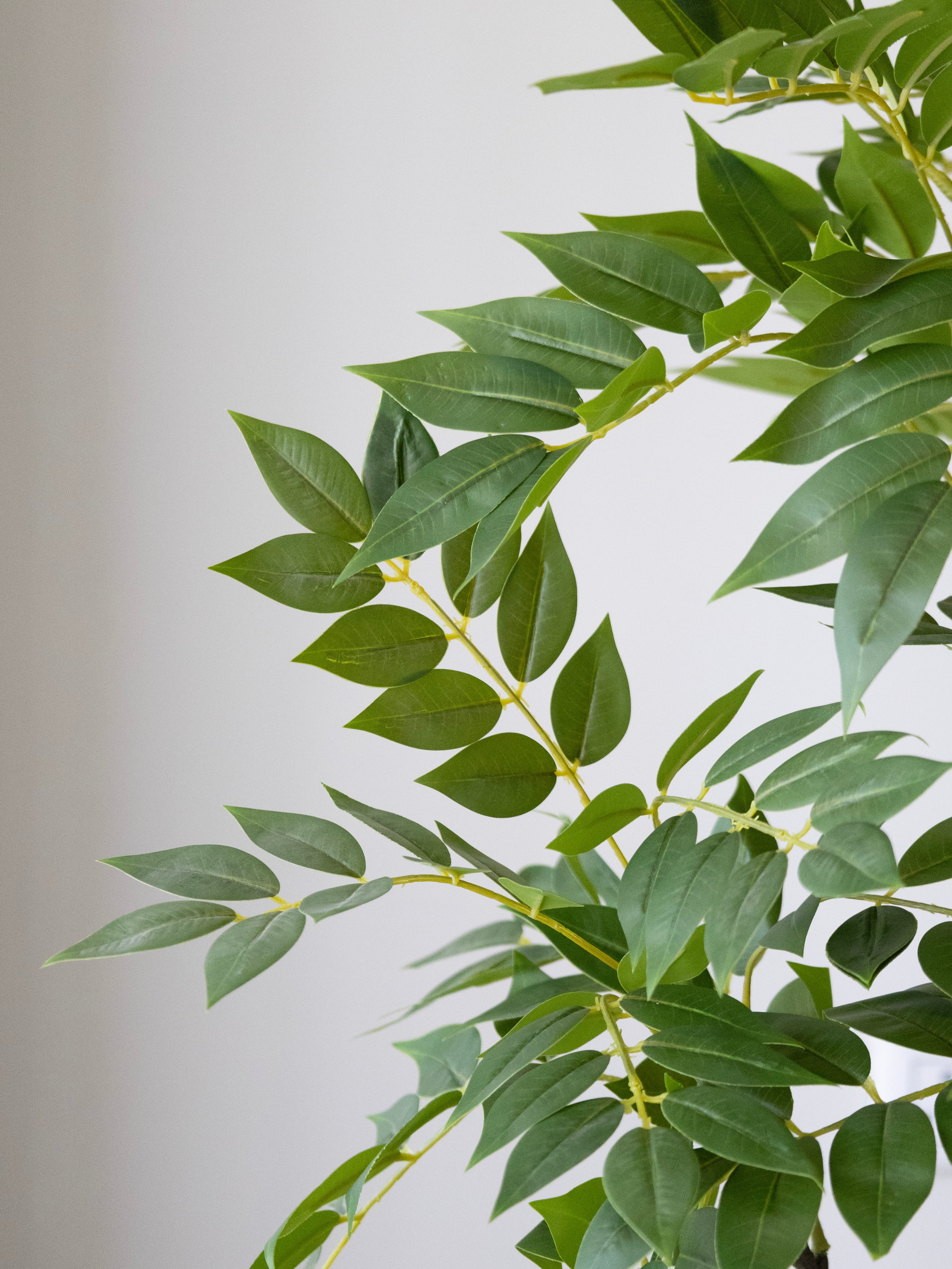 Artificial Green Ficus Plant 5ft