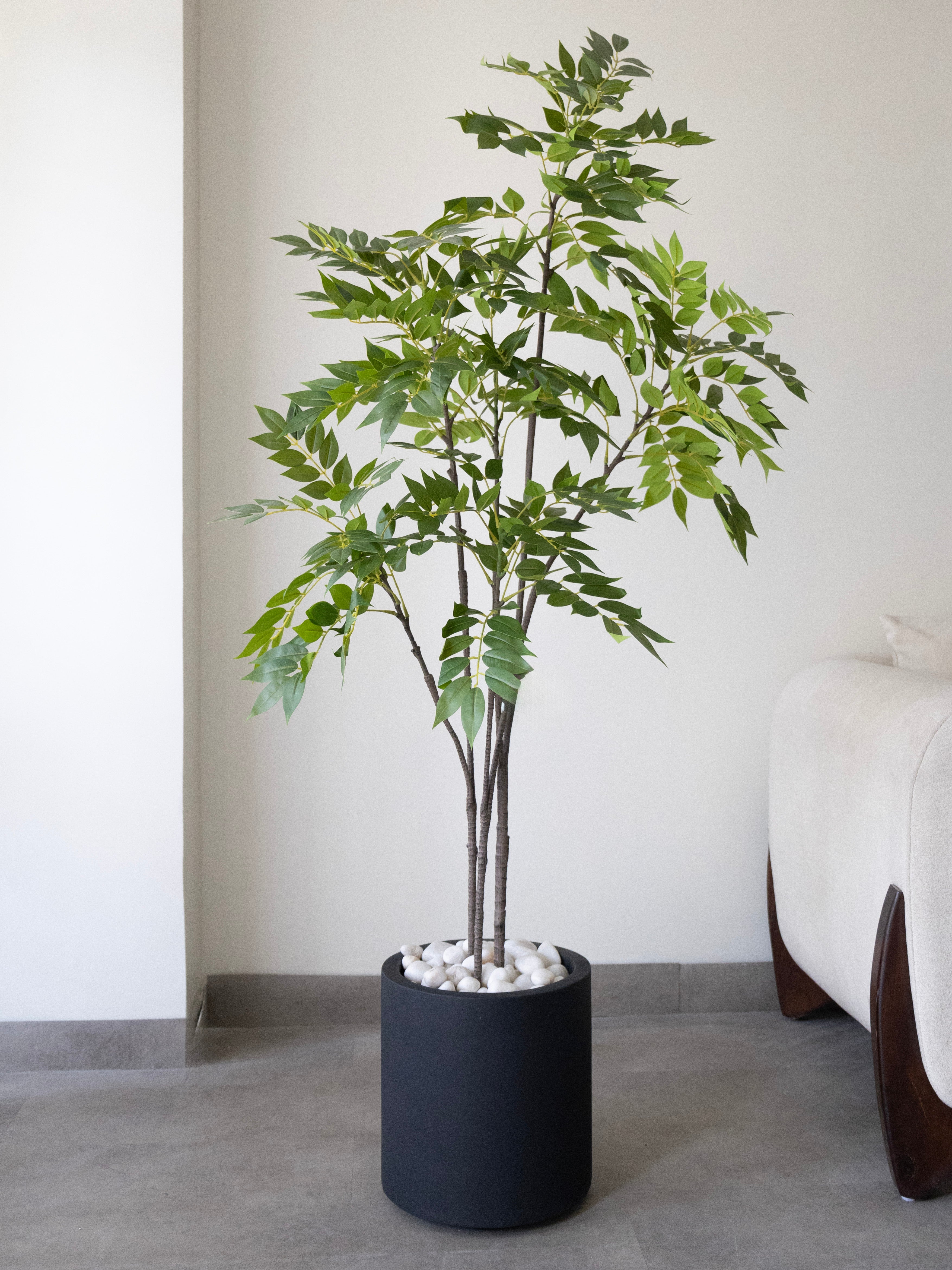 Artificial Green Ficus Plant 5ft