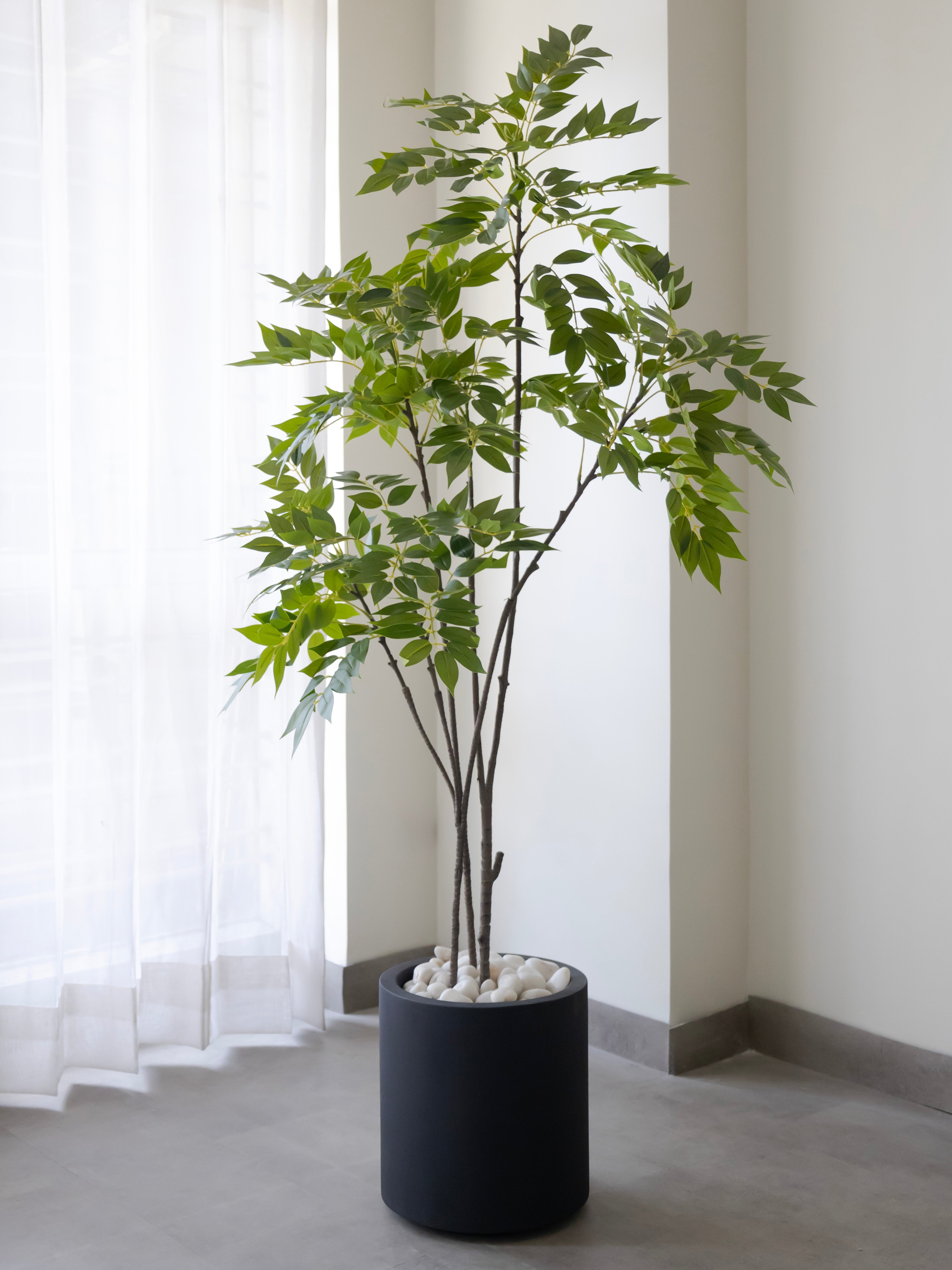 Artificial Green Ficus Plant 5ft